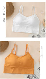 INTIMO SECRETS Breathable Padded Sports Bra – Adjustable Straps, Workout Ready