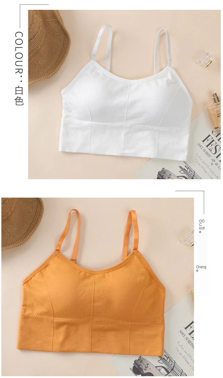 INTIMO SECRETS Breathable Padded Sports Bra – Adjustable Straps, Workout Ready