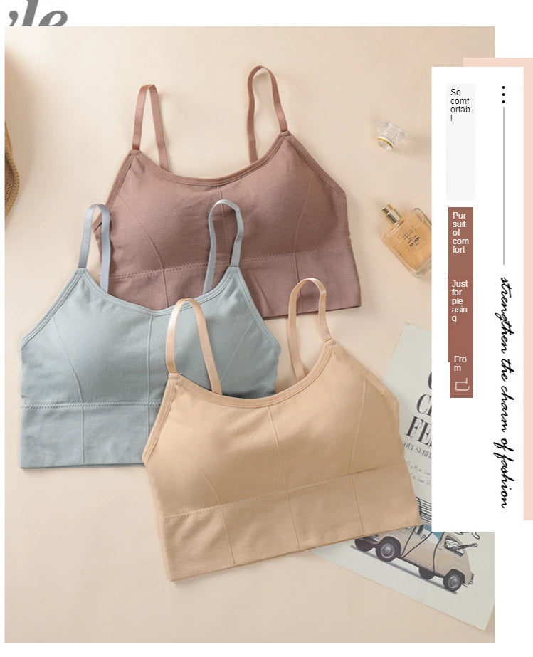 INTIMO SECRETS Breathable Padded Sports Bra – Adjustable Straps, Workout Ready