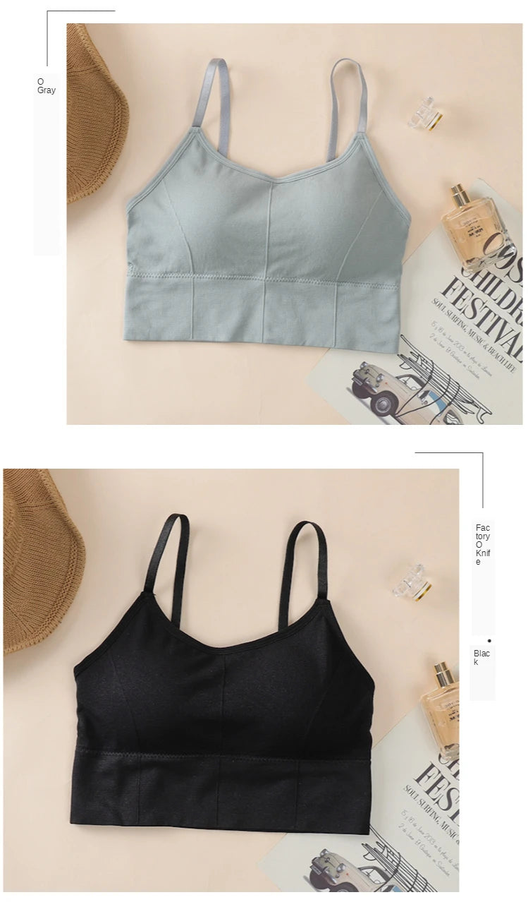 INTIMO SECRETS Breathable Padded Sports Bra – Adjustable Straps, Workout Ready