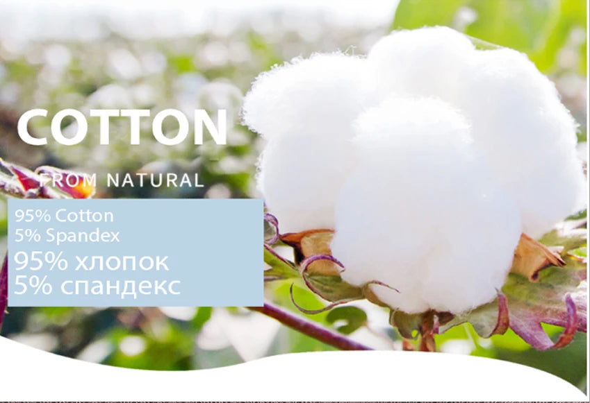 INTIMO SECRETS 2PCS Cotton Thongs – Sexy Cross-Strap G-String Underwear for Women