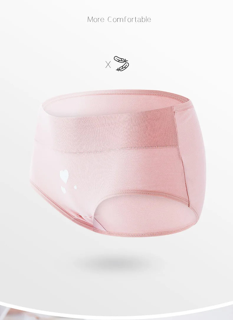 INTIMO SECRETS 4-Pack High Waist Panties – Plus Size Women’s Underwear