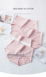 INTIMO SECRETS 4-Pack High Waist Panties – Plus Size Women’s Underwear