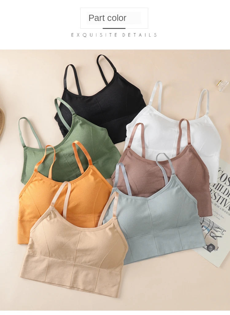 INTIMO SECRETS Breathable Padded Sports Bra – Adjustable Straps, Workout Ready