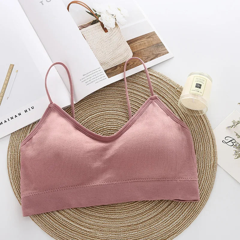 INTIMO SECRETS Seamless Push-Up Sports Bra – Gym, Fitness & Running Top