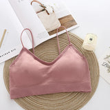 INTIMO SECRETS Seamless Push-Up Sports Bra – Gym, Fitness & Running Top