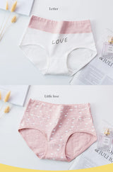 INTIMO SECRETS 4-Pack High Waist Panties – Plus Size Women’s Underwear