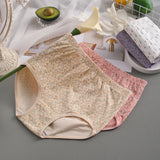 INTIMO SECRETS High Waist Cotton Panties – Plus Size Women’s Lingerie