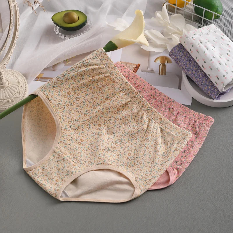 INTIMO SECRETS High Waist Cotton Panties – Plus Size Women’s Lingerie