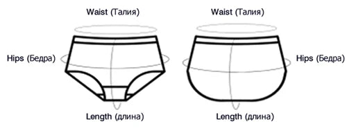 INTIMO SECRETS High Waist Cotton Panties – Plus Size Women’s Lingerie