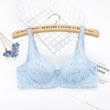 Plus Size Lace Push Up Bra Women Sexy Hollow Out Lingerie Lady Lace Transparent Underwear Female Embroidery Solid Bra