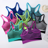 INTIMO SECRETS Women’s Shockproof Padded Sports Bra