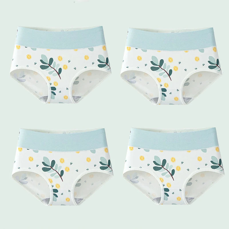 INTIMO SECRETS 4PCS High Waist Cotton Panties – Plus Size Women’s Lingerie