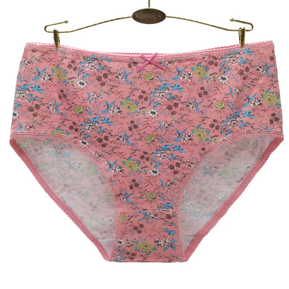 INTIMO SECRETS 3PCS Cotton Panties – Plus Size Women’s Cozy Lingerie