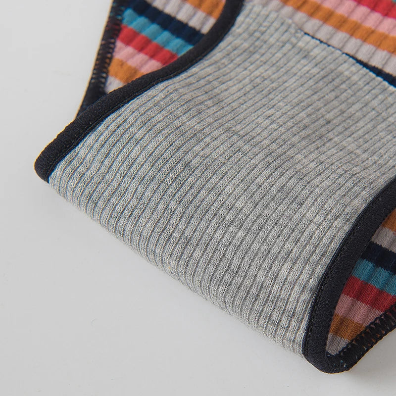 2PCS/Set Women Cotton Plus Size Panties M-4XL Comfort Underwear Sexy Colorful Rainbow Striped Lingerie Girls Cute Briefs NK608