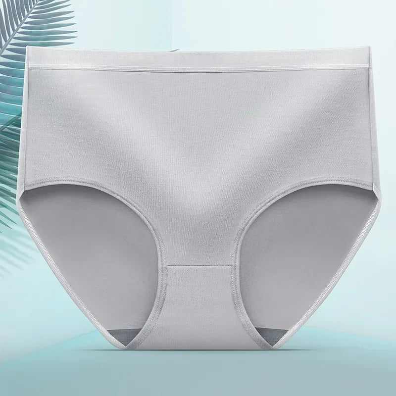 INTIMO SECRETS Sexy Seamless Panties – Plus Size Women’s Underwear