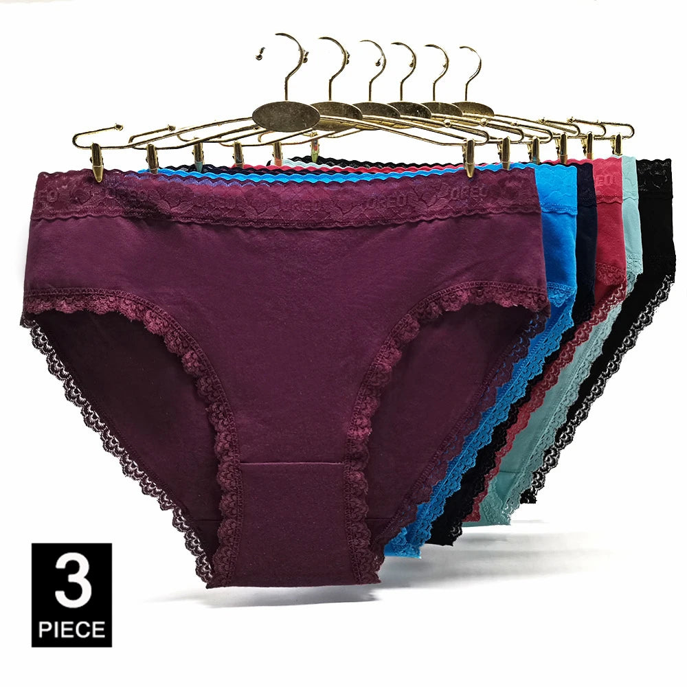 INTIMO SECRETS 3PCS Cotton Panties – Plus Size Women’s Cozy Lingerie