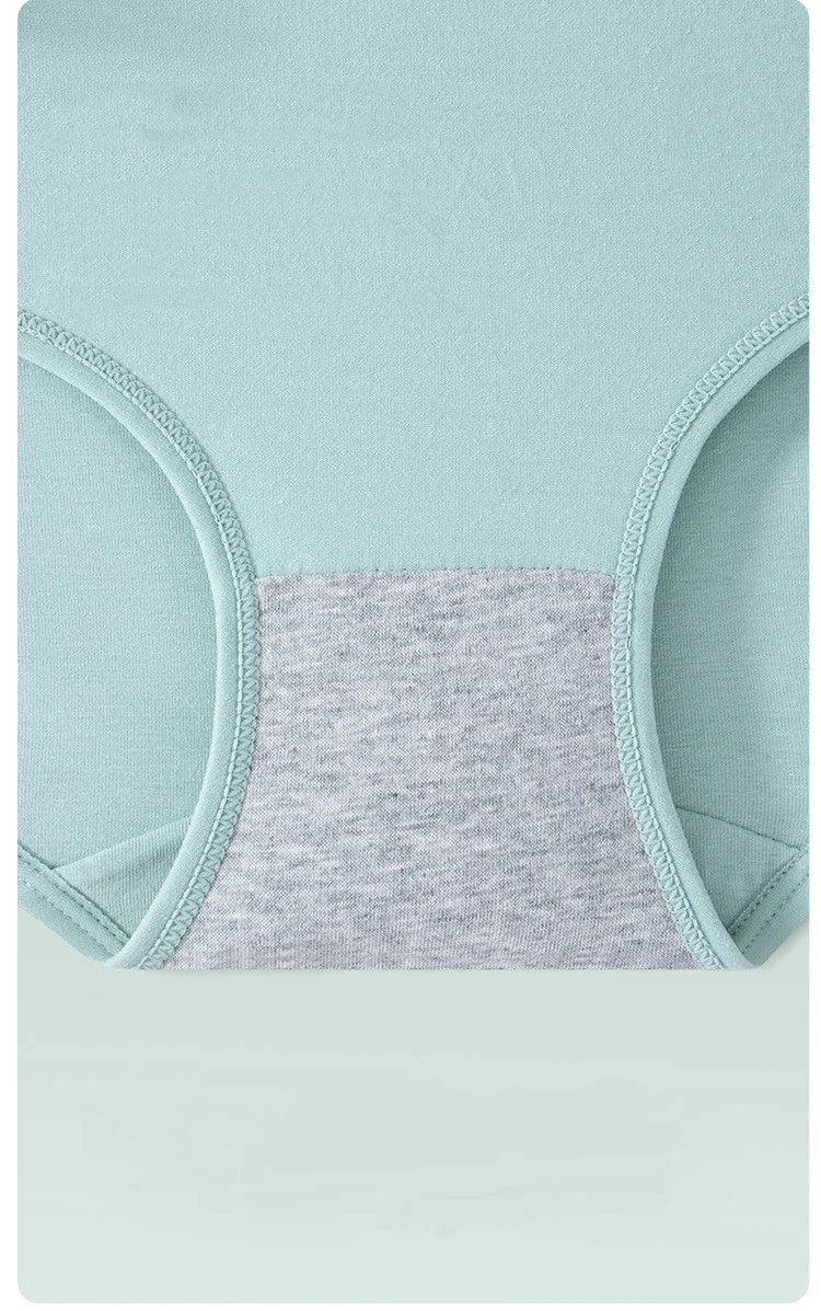 INTIMO SECRETS 4PCS High Waist Cotton Panties – Plus Size Women’s Lingerie