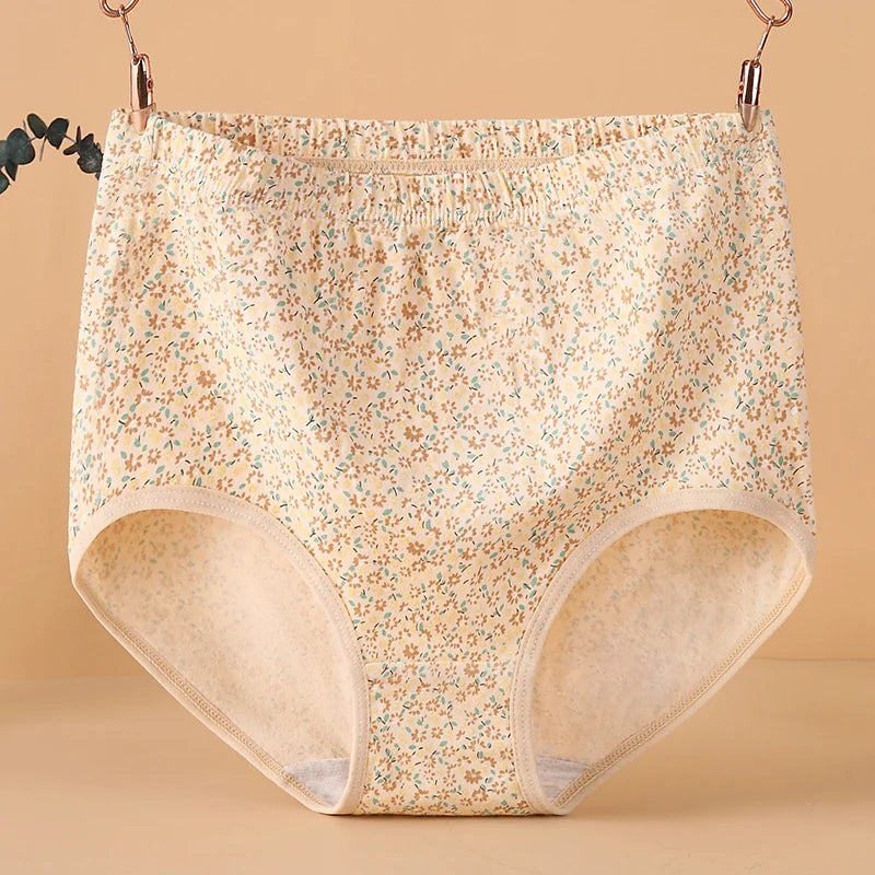 INTIMO SECRETS High Waist Cotton Panties – Plus Size Women’s Lingerie