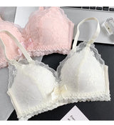INTIMO SECRETS Japanese Push-Up Bra – Lace Enhancer Wire-Free Lift Bralette