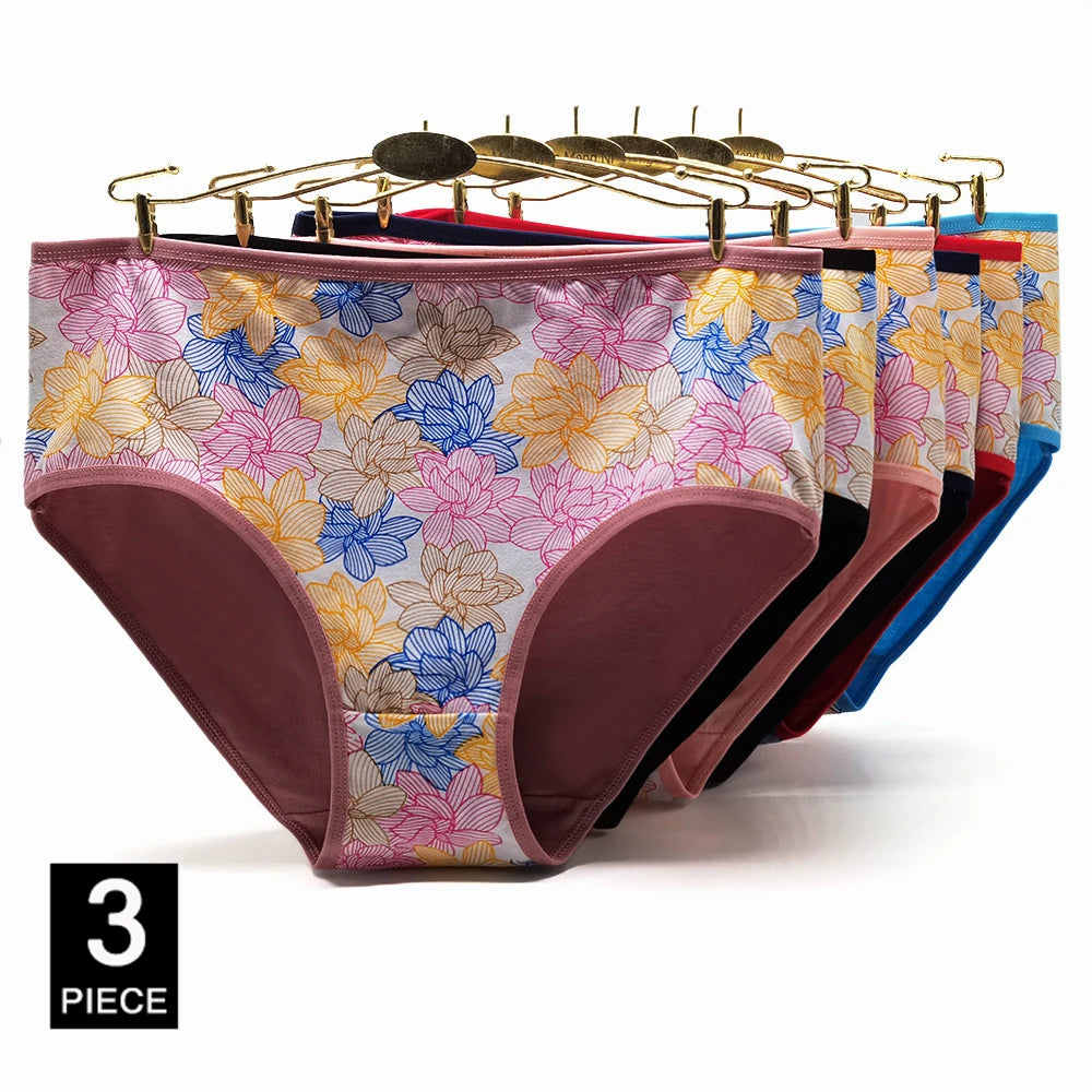 INTIMO SECRETS 3PCS Cotton Panties – Plus Size Women’s Cozy Lingerie
