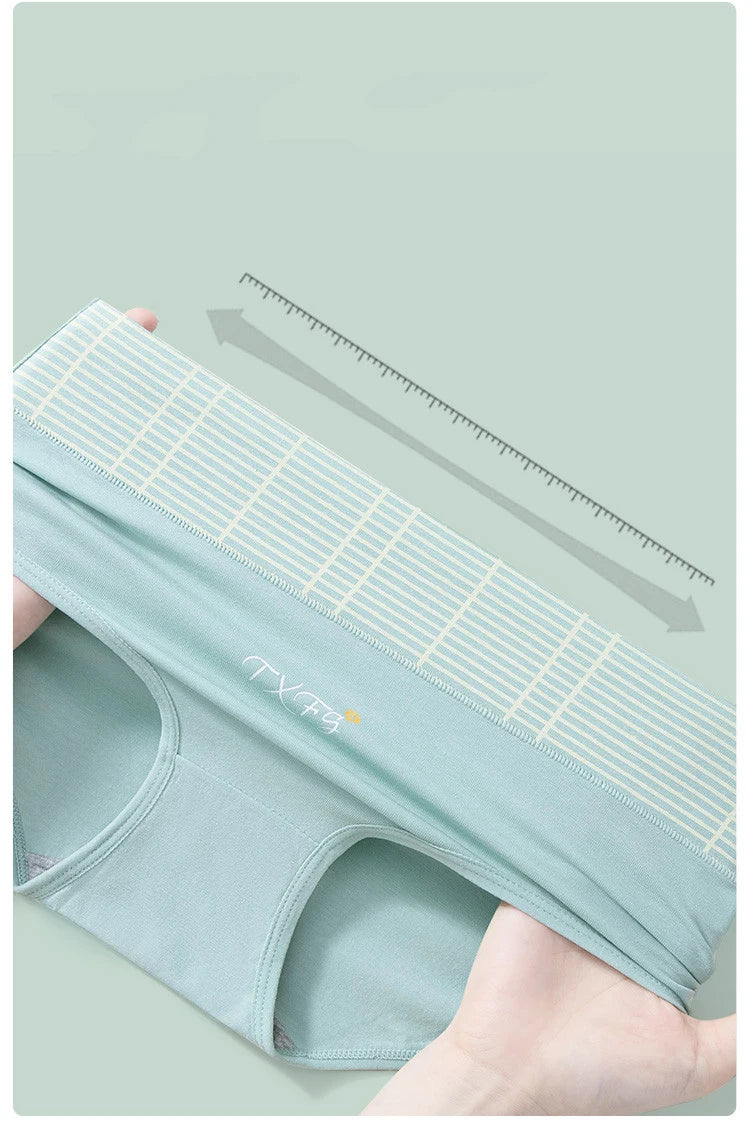 INTIMO SECRETS 4PCS High Waist Cotton Panties – Plus Size Women’s Lingerie