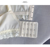 INTIMO SECRETS Japanese Push-Up Bra – Lace Enhancer Wire-Free Lift Bralette