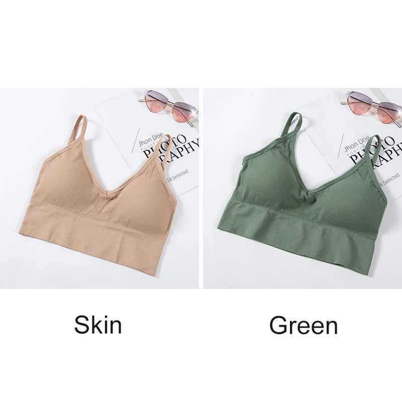 INTIMO SECRETS Women’s 2-Pack Padded Crop Top Bra – Wire-Free Summer Active Vest