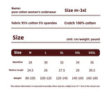 INTIMO SECRETS 3PCS Women’s Cotton Boxer Panties – Plus Size Lingerie