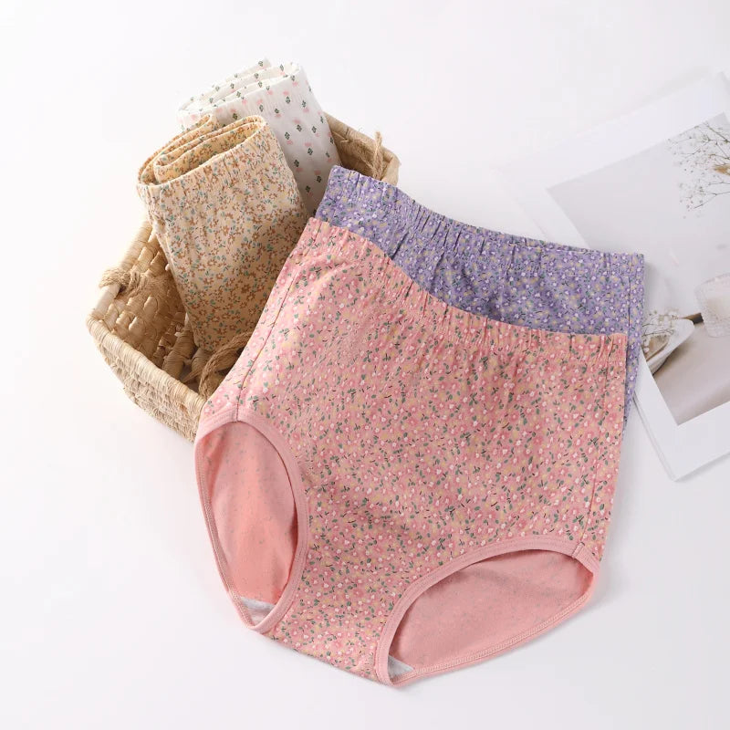 INTIMO SECRETS High Waist Cotton Panties – Plus Size Women’s Lingerie