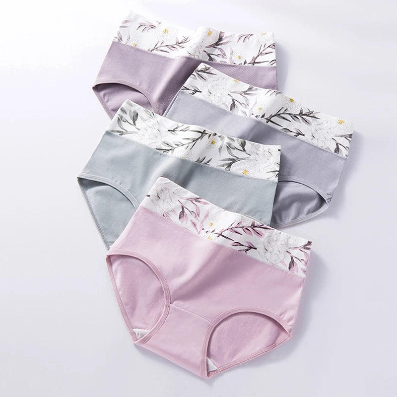 INTIMO SECRETS 4PCS High Waist Cotton Panties – Plus Size Women’s Lingerie