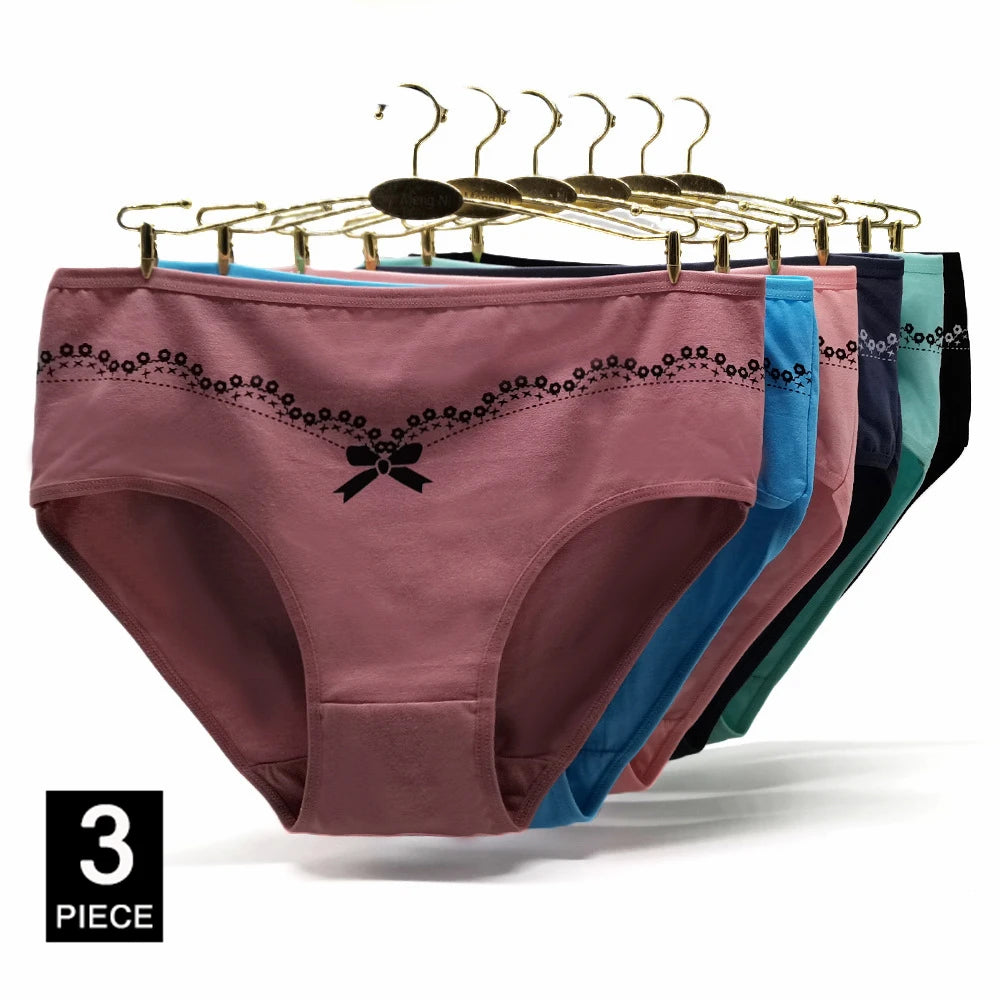 INTIMO SECRETS 3PCS Cotton Panties – Plus Size Women’s Cozy Lingerie