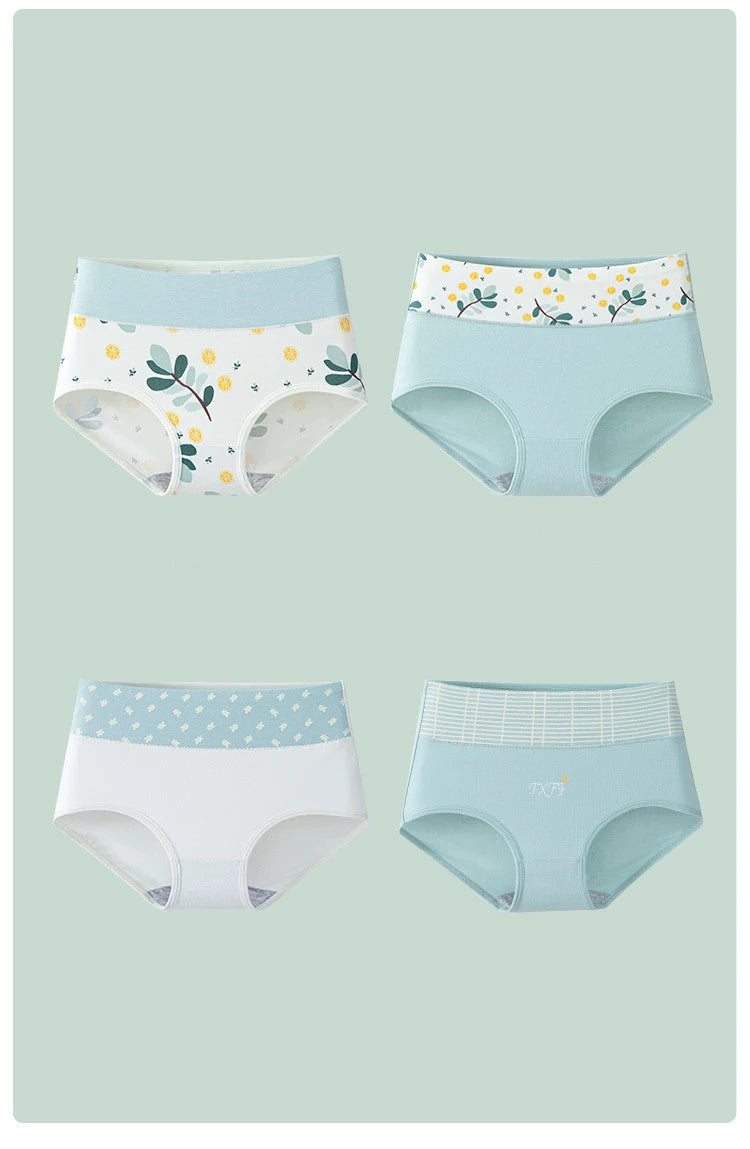 INTIMO SECRETS 4PCS High Waist Cotton Panties – Plus Size Women’s Lingerie