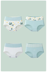 INTIMO SECRETS 4PCS High Waist Cotton Panties – Plus Size Women’s Lingerie