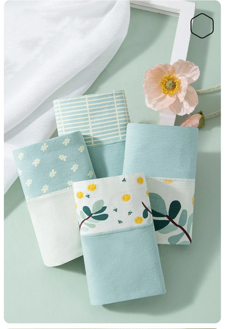 INTIMO SECRETS 4PCS High Waist Cotton Panties – Plus Size Women’s Lingerie