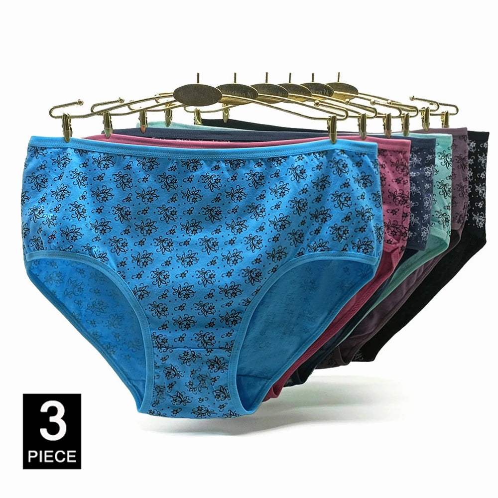 INTIMO SECRETS 3PCS Cotton Panties – Plus Size Women’s Cozy Lingerie