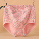 INTIMO SECRETS High Waist Cotton Panties – Plus Size Women’s Lingerie