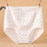INTIMO SECRETS High Waist Cotton Panties – Plus Size Women’s Lingerie