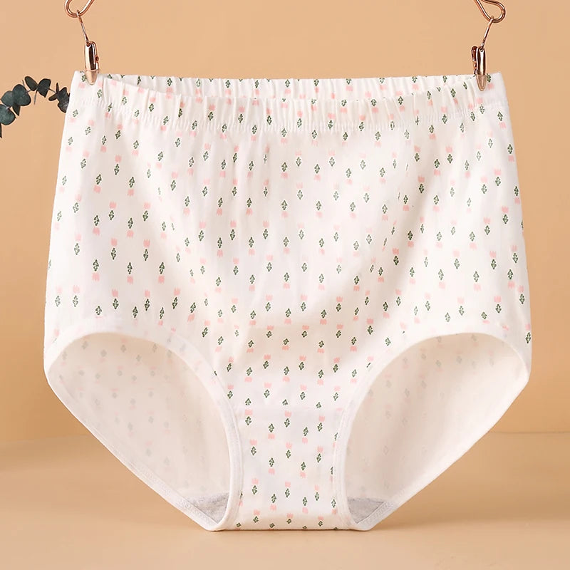 INTIMO SECRETS High Waist Cotton Panties – Plus Size Women’s Lingerie