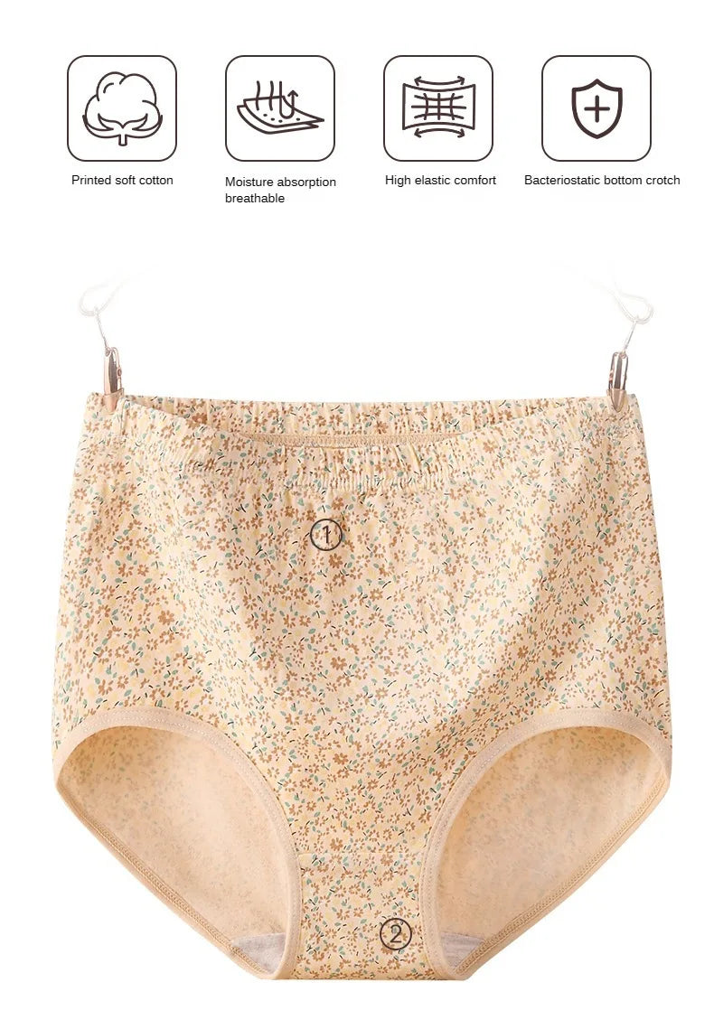 INTIMO SECRETS High Waist Cotton Panties – Plus Size Women’s Lingerie