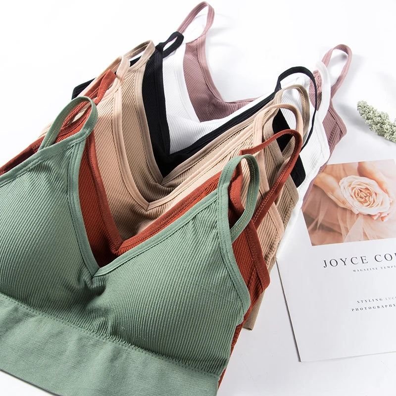 INTIMO SECRETS Women’s 2-Pack Padded Crop Top Bra – Wire-Free Summer Active Vest