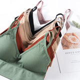 INTIMO SECRETS Women’s 2-Pack Padded Crop Top Bra – Wire-Free Summer Active Vest