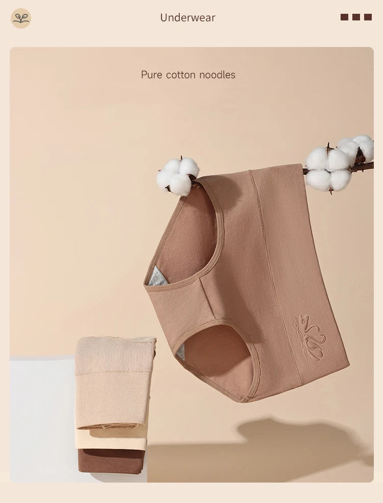 INTIMO SECRETS 4PCS High Waist Cotton Panties – Plus Size Women’s Lingerie 4XL