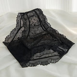 INTIMO SECRETS Women’s L-XL Sexy Lace Low-Waist Seamless Panties