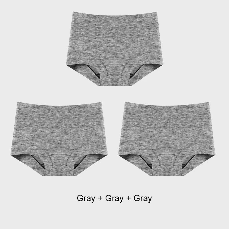 INTIMO SECRETS 3PCS Women’s Cotton Boxer Panties – Plus Size Lingerie