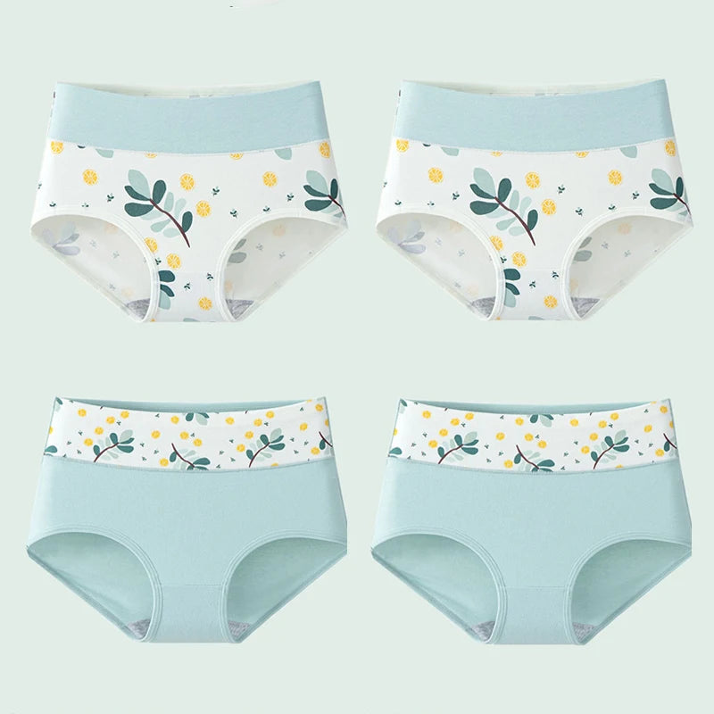 INTIMO SECRETS 4PCS High Waist Cotton Panties – Plus Size Women’s Lingerie
