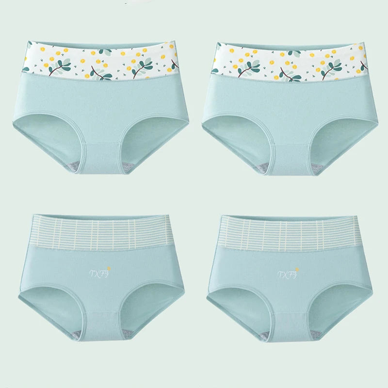 INTIMO SECRETS 4PCS High Waist Cotton Panties – Plus Size Women’s Lingerie