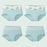 INTIMO SECRETS 4PCS High Waist Cotton Panties – Plus Size Women’s Lingerie