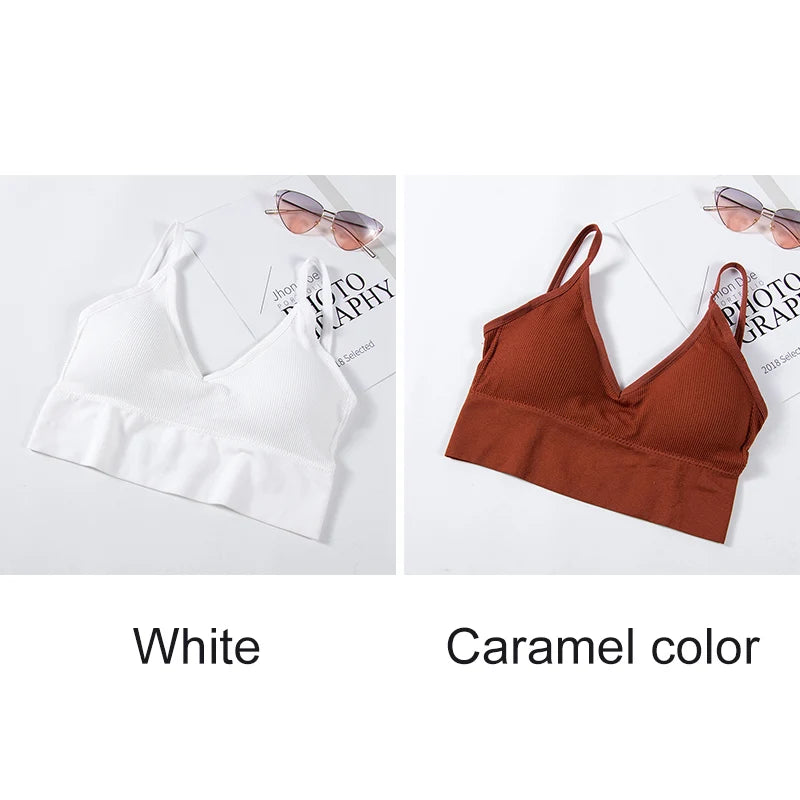 INTIMO SECRETS Women’s 2-Pack Padded Crop Top Bra – Wire-Free Summer Active Vest