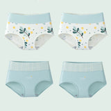 INTIMO SECRETS 4PCS High Waist Cotton Panties – Plus Size Women’s Lingerie